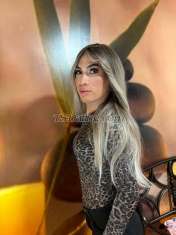 Natashamartin Castellon Transex Hola amor soy natasha tengo 23 años soy una chica trans ,
venezolana de piel blanca de cuerpo delgadita cariñosa soy
y muy educada  y adaptable para lo que en realidad tú
necesitas no soy brusca ni apurona, . ven a conocerme
estaré atenta para que disfrute  Soy .femenina y muy
educada 