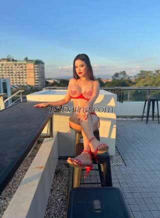 trans girl Natty6359 2596932