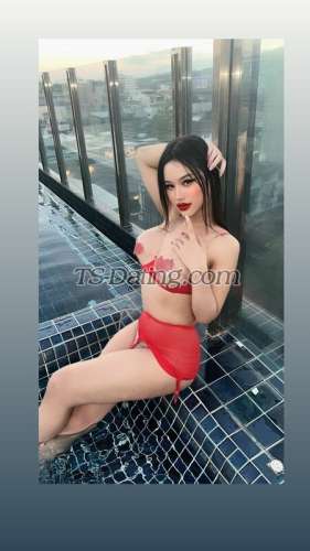 trans girl Natty6359 2596960