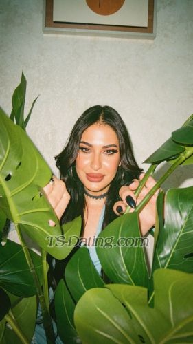 trans girl Nessimmjk 9309815