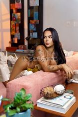 NicVinhedos Rio De Janeiro TS escort 