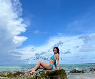 trans girl Nichapha 4846551