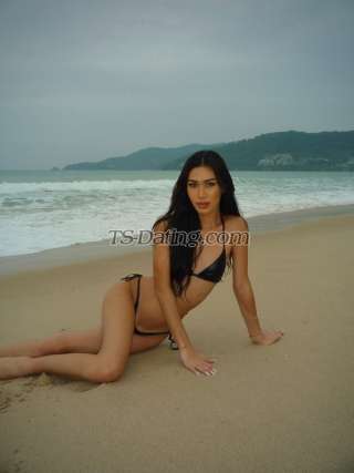 trans girl Nicloe5518 2356243