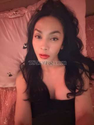 trans girl Nicole117 0651873