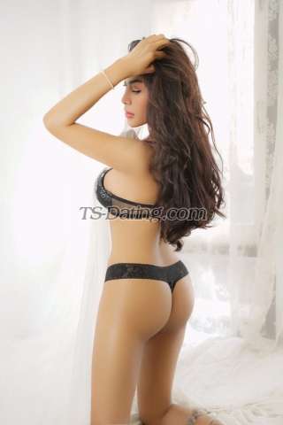 trans girl Nicole117 5684971