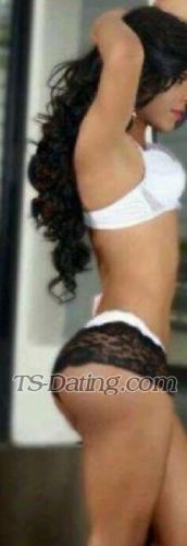 trans girl Nicolehot 2081642