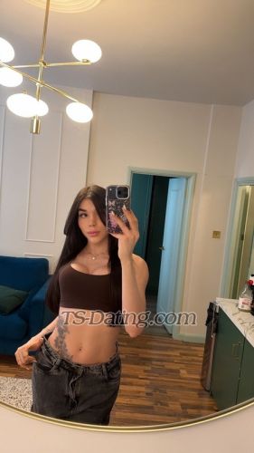 trans girl Nicolelima 2500135
