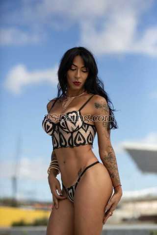 trans girl NicolleAfrod 2557975 trans girl NicolleAfrod 2557975