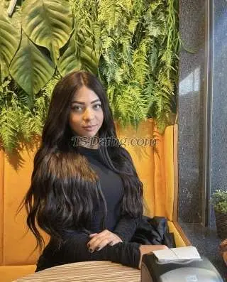 Shemale Nicollylins 2558895