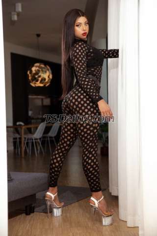 trans girl Nicollylins 5245425