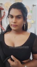 Niharikaneha Hyderabad Transex Hi this is neha New to hereI have place any time
Don't timepass with me 