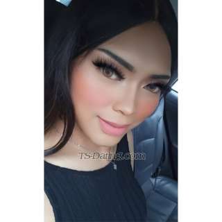 trans girl Nikitanunn 0449556