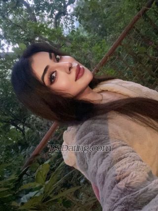 trans girl NikkiRoy 1817421