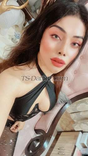 trans girl NikkiRoy 2162618