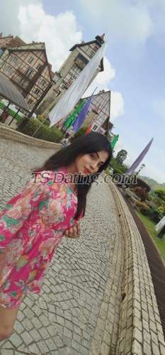 trans girl NikkiRoy 2215449