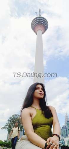 trans girl NikkiRoy 2215588