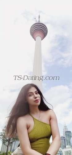 trans girl NikkiRoy 2215820