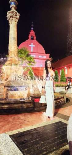 trans girl NikkiRoy 3046188