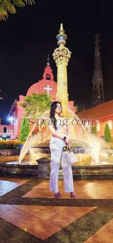 trans girl NikkiRoy 3046229