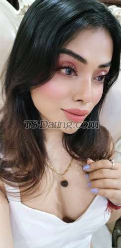 trans girl NikkiRoy 3202085