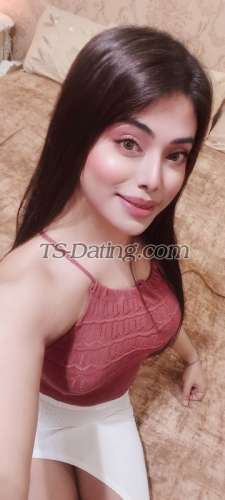 trans girl NikkiRoy 3808024