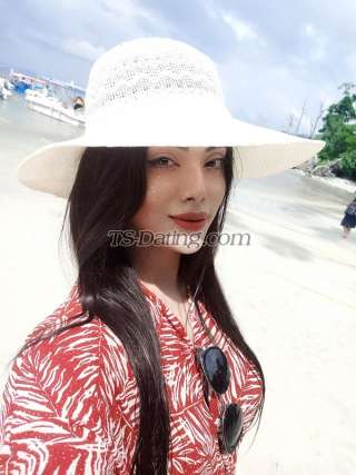 trans girl NikkiRoy 4351083