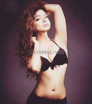 trans girl NikkiRoy 4385432