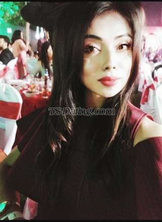 trans girl NikkiRoy 4969848