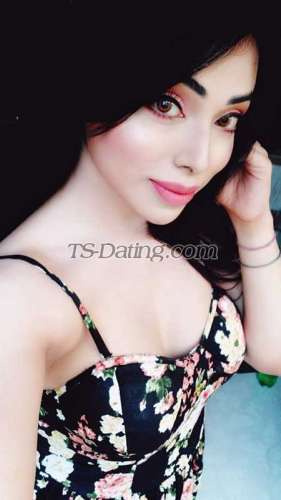 trans girl NikkiRoy 7379031