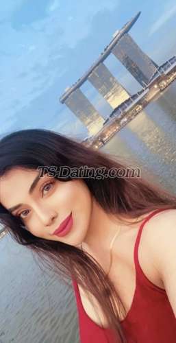 trans girl NikkiRoy 8221526