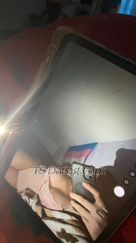 trans girl NikkiSantos 5394293 trans girl NikkiSantos 5394293