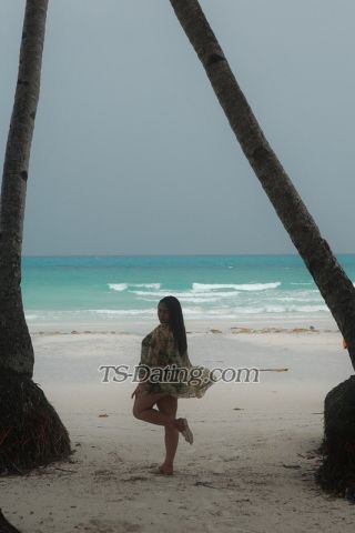 trans girl Nikkielicious 8656401