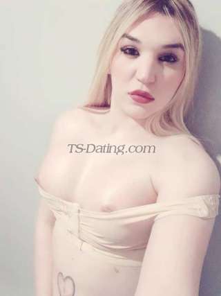 trans girl Nikoll25 8518828