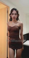 Niratcha Bangkok Transex Hi, how are you doing today? My name is Nicha, an original
Thai ladyboy 🇹🇭Age: 27Height: 167
cmWeight: 52 kgI live in Bangkok
I am versatile. I can be top or bottom, rough or
softPlease contact me — I’m waiting for your
messages 🫣😘