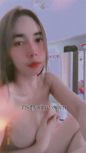 trans girl Nisvenus 0499254 trans girl Nisvenus 0499254