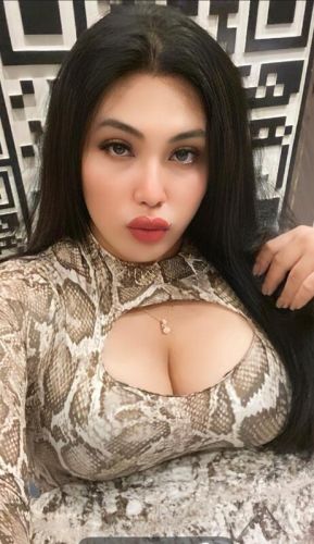 Nisya 4036616