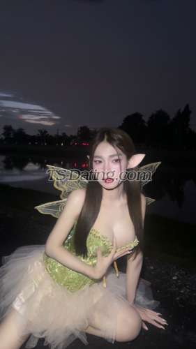 trans girl Nobelsbeis 1252627 trans girl Nobelsbeis 1252627