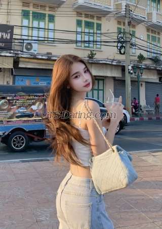 trans girl Nobelsbeis 8118485 trans girl Nobelsbeis 8118485