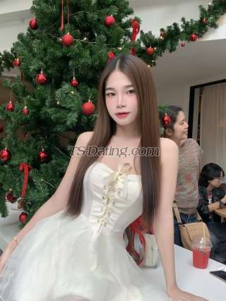 trans girl Nobelsbeis 8118555 trans girl Nobelsbeis 8118555