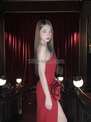 trans girl Nobelsbeis 8118657 trans girl Nobelsbeis 8118657