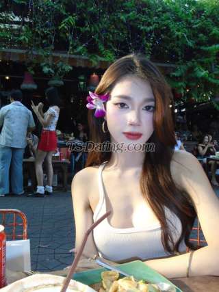 trans girl Nobelsbeis 8856326 trans girl Nobelsbeis 8856326