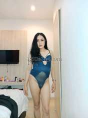 Nola888 Bandung Transex Hi I’m Nola
I'm transvestite with BIG COCK
100%
real photos 
Real long black hair 
Girlfriend
experience
Master of bj
And most important is good
conversation and best s3xx ! 

+6289507240061