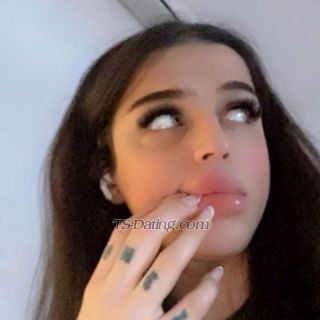 trans girl Nourxl 4425820 trans girl Nourxl 4425820