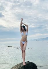 nhathaladyboy Ho Chi Minh Transex Hello! I'm Nhat Ha, a transgender woman
I am 23 years old, 1.70m tall, weigh 55kg and have an 18cm penis
I can do Top or Bottom depending on your needs (Top, Bot, kiss, lick and 69...)
1. Beauty, charm and a sweet voice are the things I always have
2. I always use 100% real photos

If you truly have a need, please find me
Do not tease to satisfy pleasure

Line: nhatha02
Telegram: @nhatha02
X: @nhatha11102

Come with me to have the most relaxing and comfortable moments!!!
