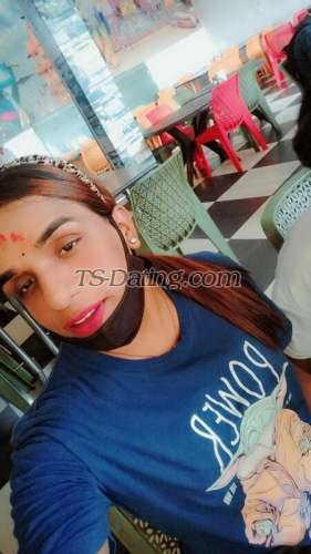 trans girl nikkidoll 2493223