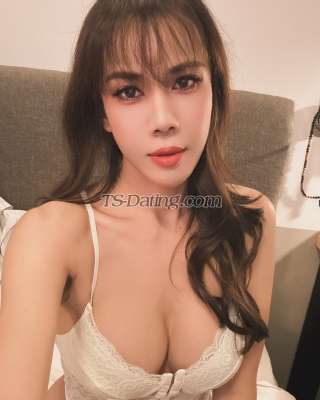 trans girl Oil6549 4196824 trans girl Oil6549 4196824