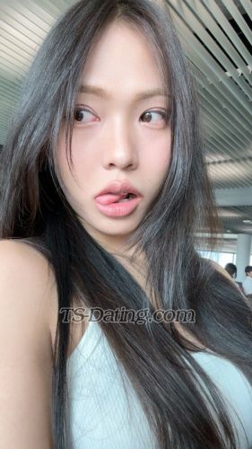 trans girl omelet 4530523