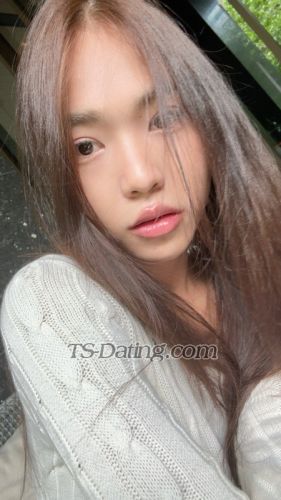 trans girl omelet 5251262 trans girl omelet 5251262