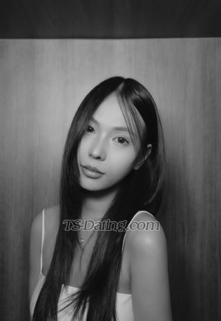 trans girl omelet 8697631
