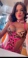 021nanda Bastia Transex Bonjour mes chéries, c'est un plaisir de vous voir ici dans
mon annonce. Je m'appelle Fernanda et je suis une belle
trans universitaire, je suis super attentionnée, câline et
chaude. Dans mes services je vous proposes bcp de plaisir,
j'ai un jolie sexe de 21cm. J'aime recevoir les couples, les
hommes et je suis experte pour les débutantsJe m'appelle
Ana Paula nascimento 🥰 21cm 🍆   Je suis T-S belle et
féminine avec un beau visage d’ange,Je suis la
transsexuelle idéale pour sa première fois ou regulerment
🥰   Vient découvrir une nouvelle expérience et passer
un agréable moment de massage complet en ma
compagnie...Pour seulement quelques jours! J'aime les
expériences nouvelles, je suis sociable, souriante,
joviale.Alors venez agrémenter votre quotidien par un très
bon massage apaisant, d'un moment magique de relaxation, de
bien-être intense, d'évasion et de détente en ma
compagnie... Je suis tous les jours en forme et très bien
montée 21 cm 🍆!!!   Je suis Active passive vous invite
à passer des moments exceptionnels, d'échanges dans la
plus grande discrétion et le respect mutuel...Et les
moments passés à mes côtés seront privilégiésje saurai
répondre à vos attentes, je me réserve aux Messieurs
polis, je suis pétillante aux yeux de rêves, j'aime la
discrétion.  Mon appartement est discret, tranquille,
l'hygiène parfaite.Parfait pour le débutant... Douce,
gentil et pas pressé je suis disponible 7 jours sur 7   
Mes photos sont 100 % originales, venez le constater par
vous même 💋 INSTAGRAM @_021nanda